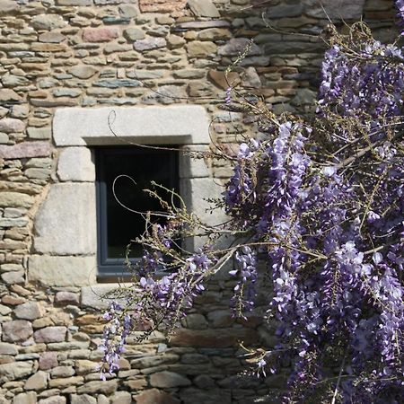 Pleucadeuc Domaine De La Prevostais Bed & Breakfast エクステリア 写真