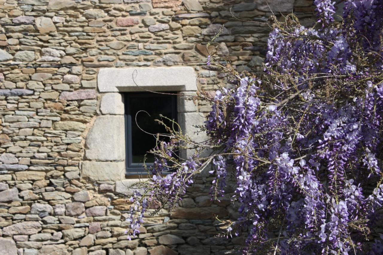 Pleucadeuc Domaine De La Prevostais Bed & Breakfast エクステリア 写真